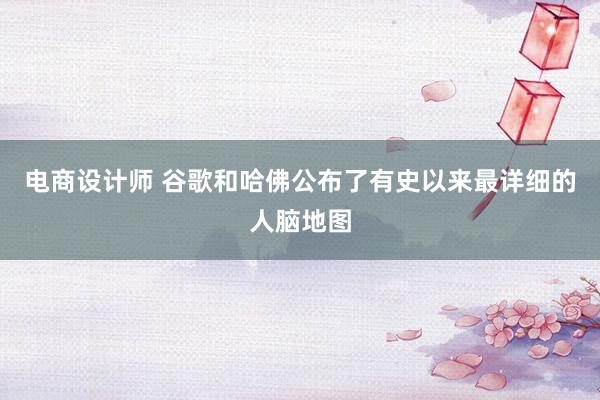 电商设计师 谷歌和哈佛公布了有史以来最详细的人脑地图