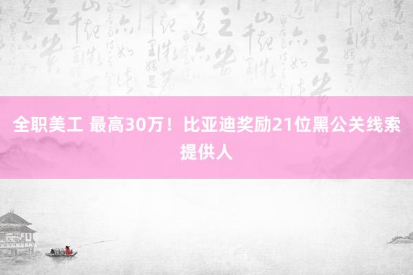 全职美工 最高30万！比亚迪奖励21位黑公关线索提供人