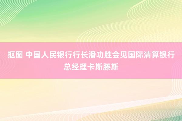 抠图 中国人民银行行长潘功胜会见国际清算银行总经理卡斯滕斯