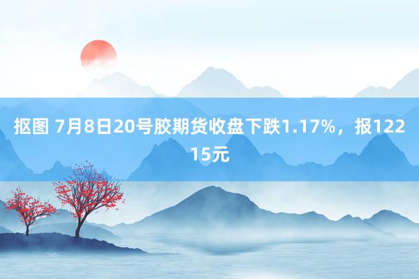 抠图 7月8日20号胶期货收盘下跌1.17%，报12215元