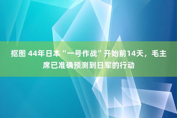 抠图 44年日本“一号作战”开始前14天，毛主席已准确预测到日军的行动