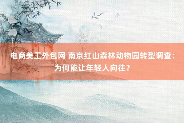 电商美工外包网 南京红山森林动物园转型调查：为何能让年轻人向往？