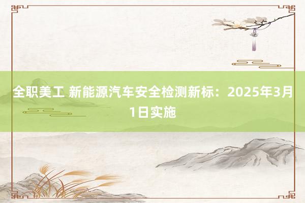 全职美工 新能源汽车安全检测新标：2025年3月1日实施